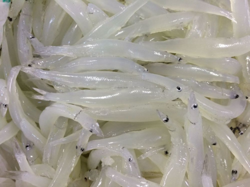 璧山区风穗食用农产品经营部