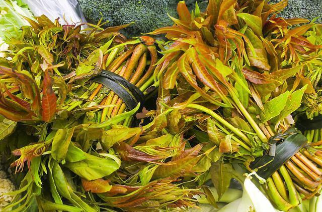 快看达州通川区这4家摊位食用农产品抽检不合格